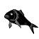fish-icon